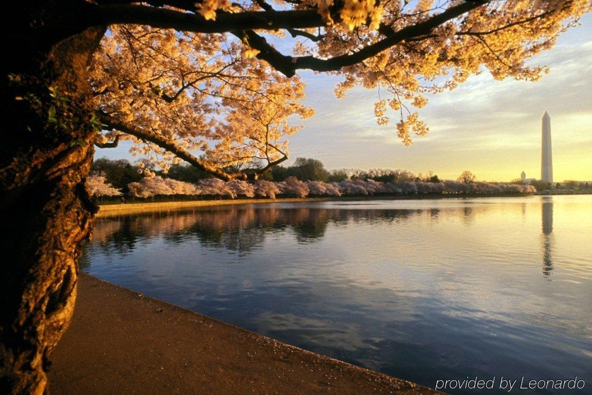 Springhill Suites Dulles Airport Стерлинг Экстерьер фото